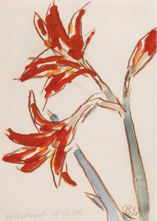 Roter Amaryllis Print, 1931