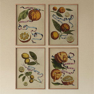 Citrus Botanical Prints Collection (Set of 4), 1646
