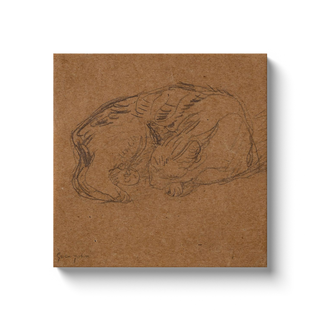 Sleeping Tortoise Shell Cat Print, 1905-1908