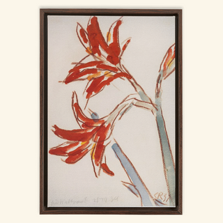 Roter Amaryllis Print, 1931