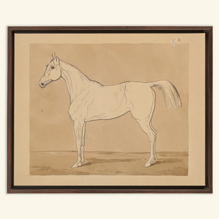 Study of a Horse Print, 18th-19th Century