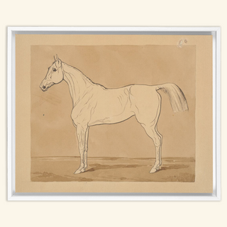 Study of a Horse Print, 18th-19th Century