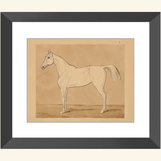 Study of a Horse Print, 18th-19th Century