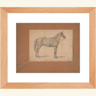 The Royal Sorrel Horse Print, 1860