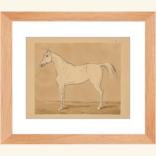 Study of a Horse Print, 18th-19th Century