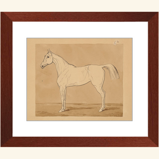 Study of a Horse Print, 18th-19th Century