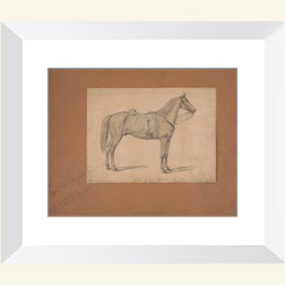 The Royal Sorrel Horse Print, 1860