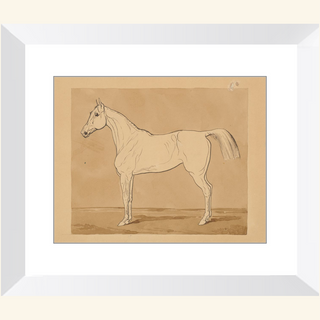Study of a Horse Print, 18th-19th Century