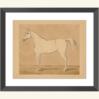 Study of a Horse Print, 18th-19th Century