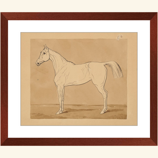 Study of a Horse Print, 18th-19th Century