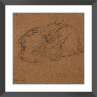 Sleeping Tortoise Shell Cat Print, 1905-1908