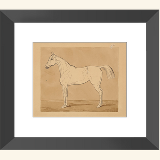 Study of a Horse Print, 18th-19th Century