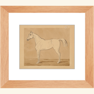 Study of a Horse Print, 18th-19th Century