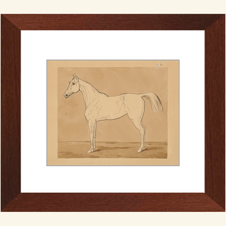 Study of a Horse Print, 18th-19th Century