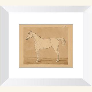 Study of a Horse Print, 18th-19th Century