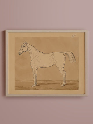 Study of a Horse Print, 18th-19th Century