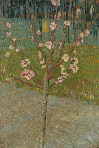 Flowering Peach Tree Print, 1888