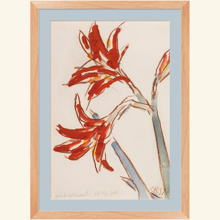 Limited Edition 20x30 Framed Fine Art Print: Roter Amaryllis, 1931