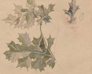 Thistle Leaves Print, Late 19th-Early 20th Century