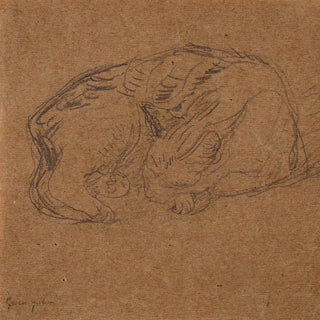 Sleeping Tortoise Shell Cat Print, 1905-1908