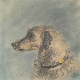 Scottish Deerhound Print, 1885–1900
