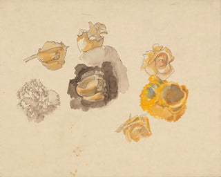 Study of Yellow Flowers Print, Late 19th-Early 20th Century