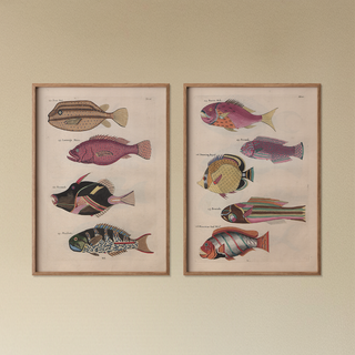 Poissons Crevisses et Crabes Prints Collection (Set of 2), 1754