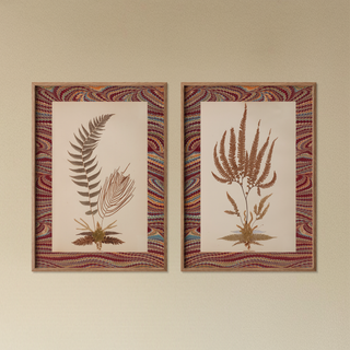 Pressed & Mounted Fern Specimen Prints Collection (Set of 2), 1875