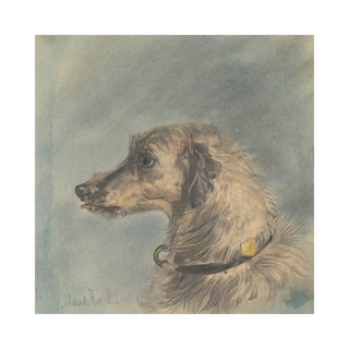 Scottish Deerhound Print, 1885–1900