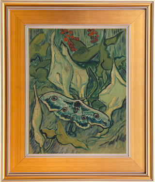 Museum Collection: Great Peacock Moth Print, 1889