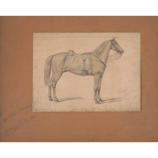 The Royal Sorrel Horse Print, 1860