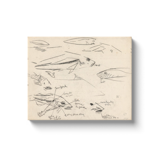 Dutch Fish Study Sketch Print, 17th Century