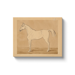 Study of a Horse Print, 18th-19th Century