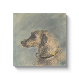 Scottish Deerhound Print, 1885–1900