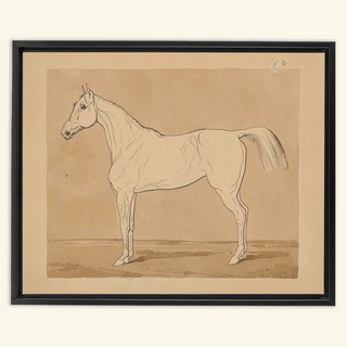 Study of a Horse Print, 18th-19th Century
