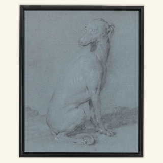 A Sitting Dog Print, 16th-17th Century