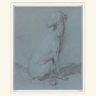 A Sitting Dog Print, 16th-17th Century