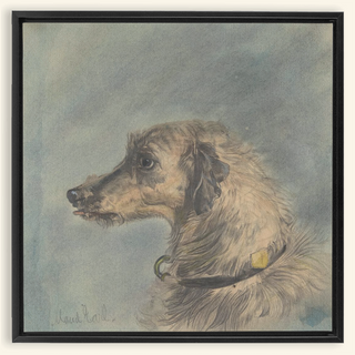 Scottish Deerhound Print, 1885–1900