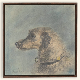 Scottish Deerhound Print, 1885–1900