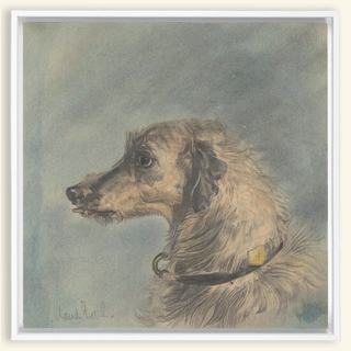 Scottish Deerhound Print, 1885–1900