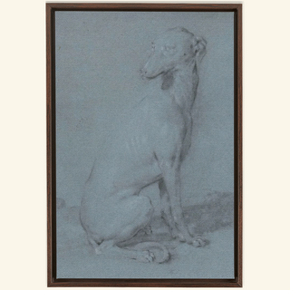 A Sitting Dog Print, 16th-17th Century