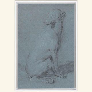 A Sitting Dog Print, 16th-17th Century