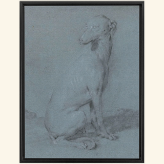 A Sitting Dog Print, 16th-17th Century