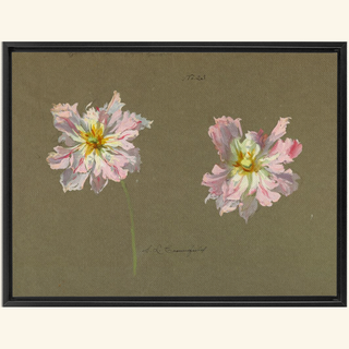 Study of Pale Pink Peonies Print, Early 20th Century