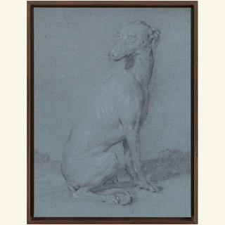 A Sitting Dog Print, 16th-17th Century