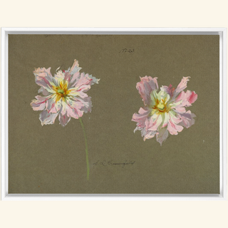 Study of Pale Pink Peonies Print, Early 20th Century