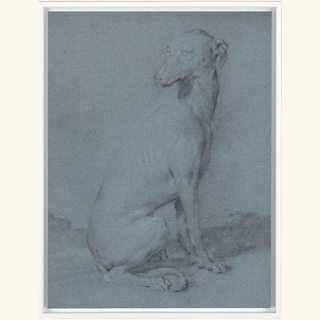 A Sitting Dog Print, 16th-17th Century