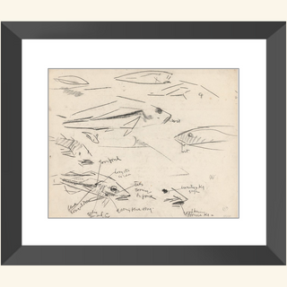 Dutch Fish Study Sketch Print, 17th Century