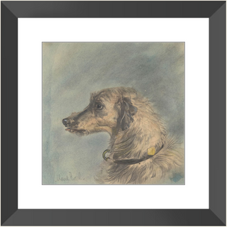 Scottish Deerhound Print, 1885–1900