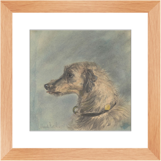 Scottish Deerhound Print, 1885–1900